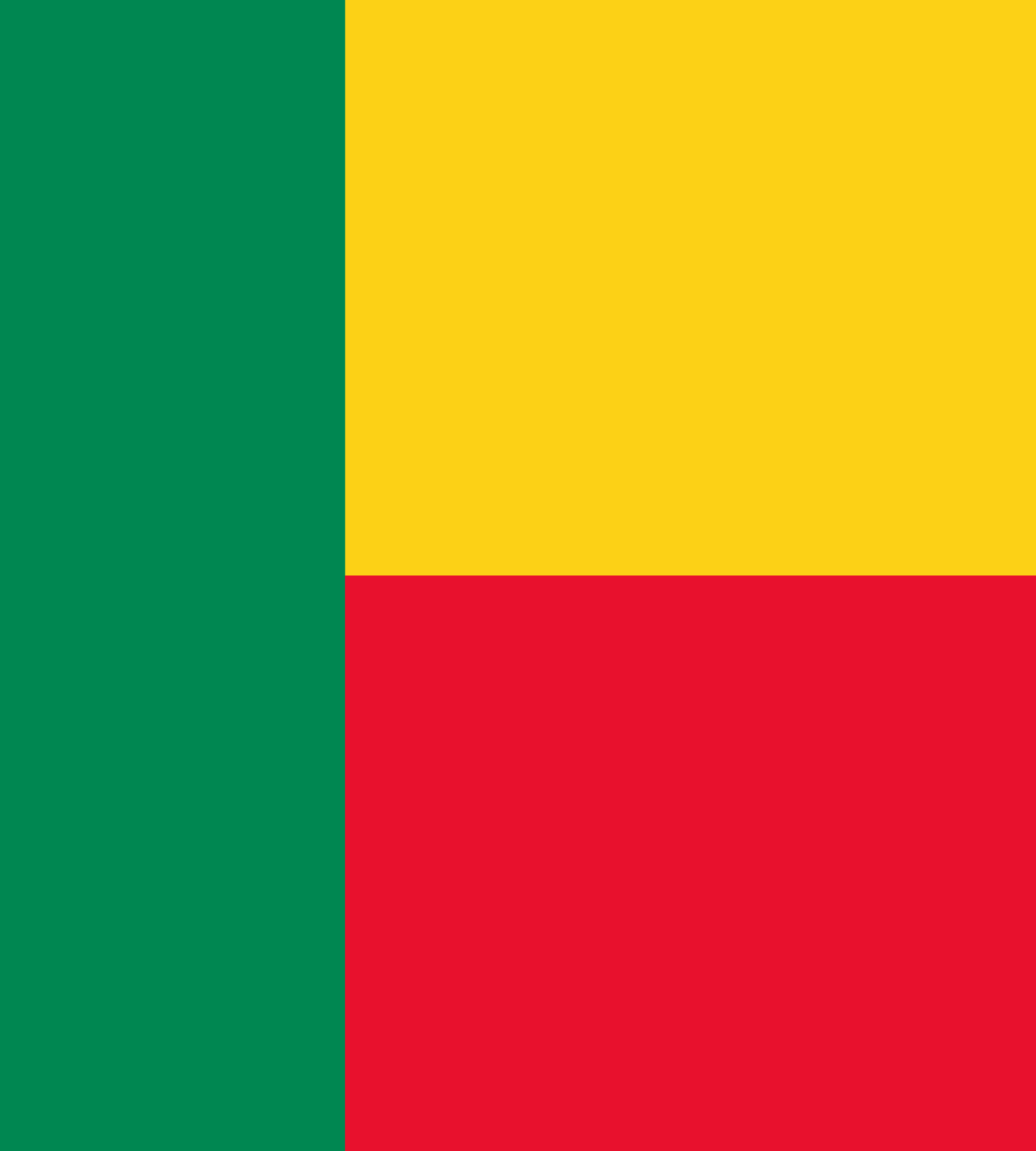 Benins flag