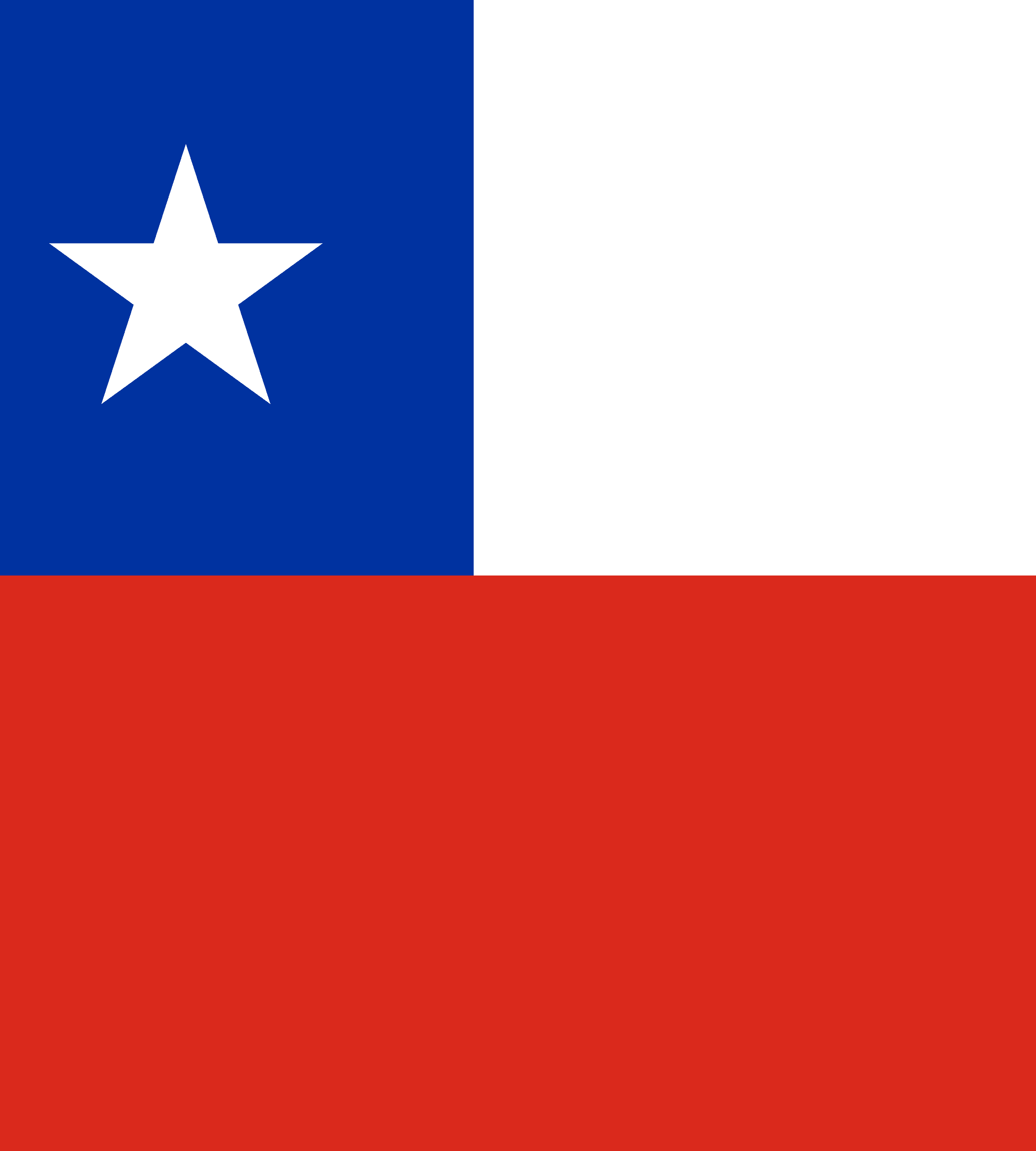 Chiles flag
